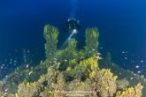 The two characteristic wind-receivers of R.D7 and the davit (© 2014 www.wetklik.gr by Milonakis Kostas and www.grafasdiving.gr)