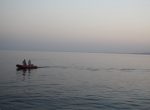Red sea Night dive